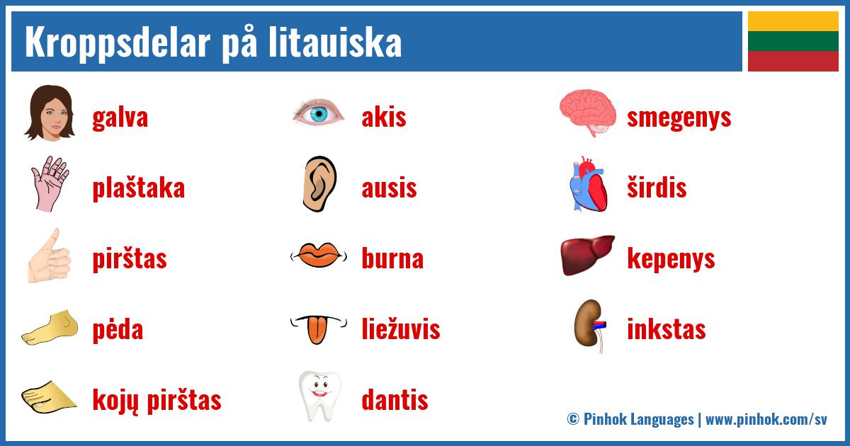 Kroppsdelar på litauiska
