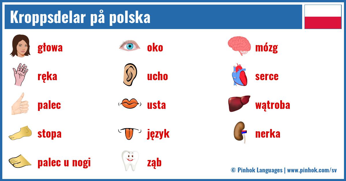Kroppsdelar på polska