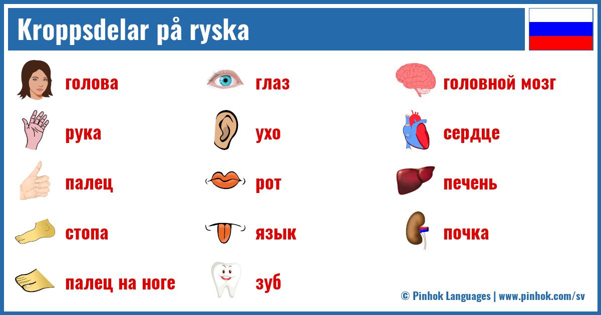 Kroppsdelar på ryska