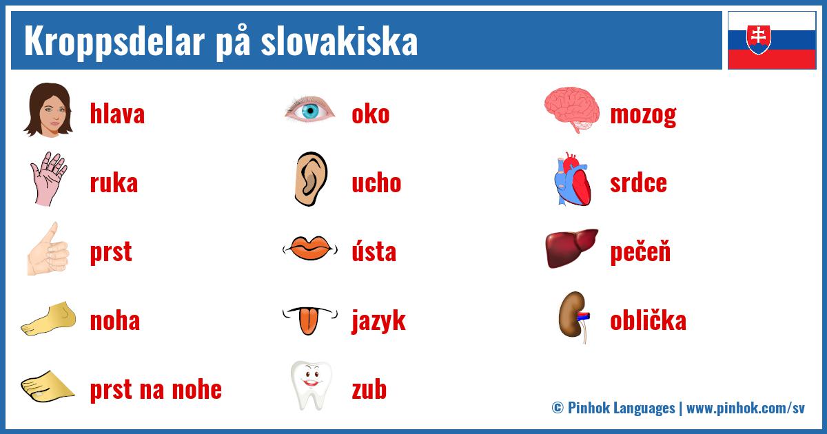 Kroppsdelar på slovakiska