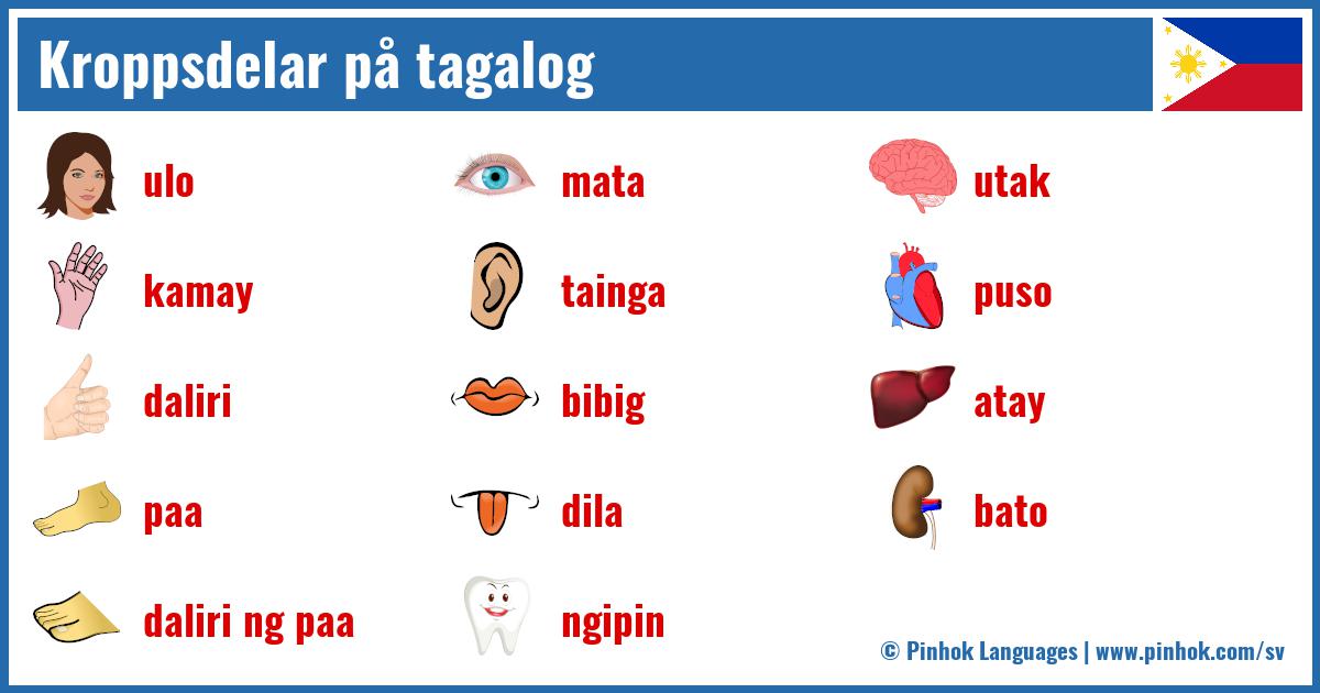 Kroppsdelar på tagalog