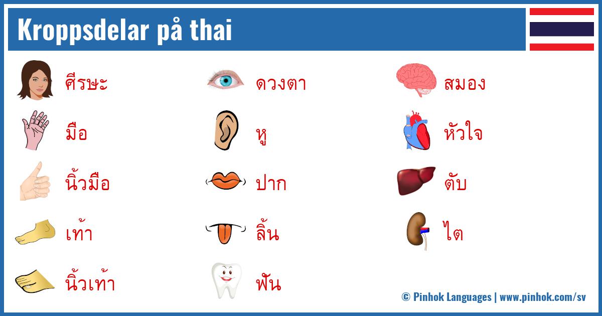Kroppsdelar på thai